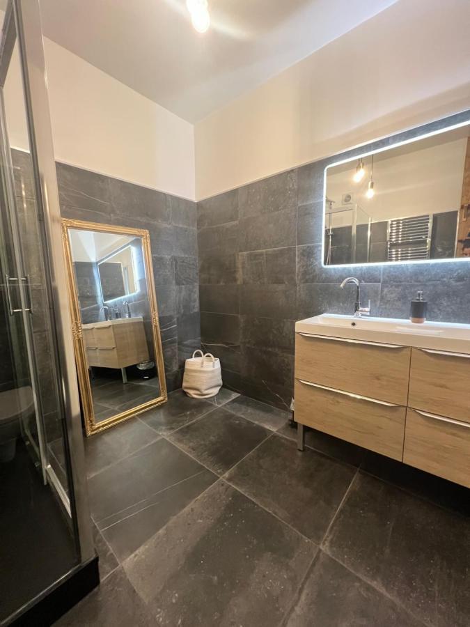 Charmant Appartement Plein Centre Ville - Parking Prive Auxerre Dış mekan fotoğraf