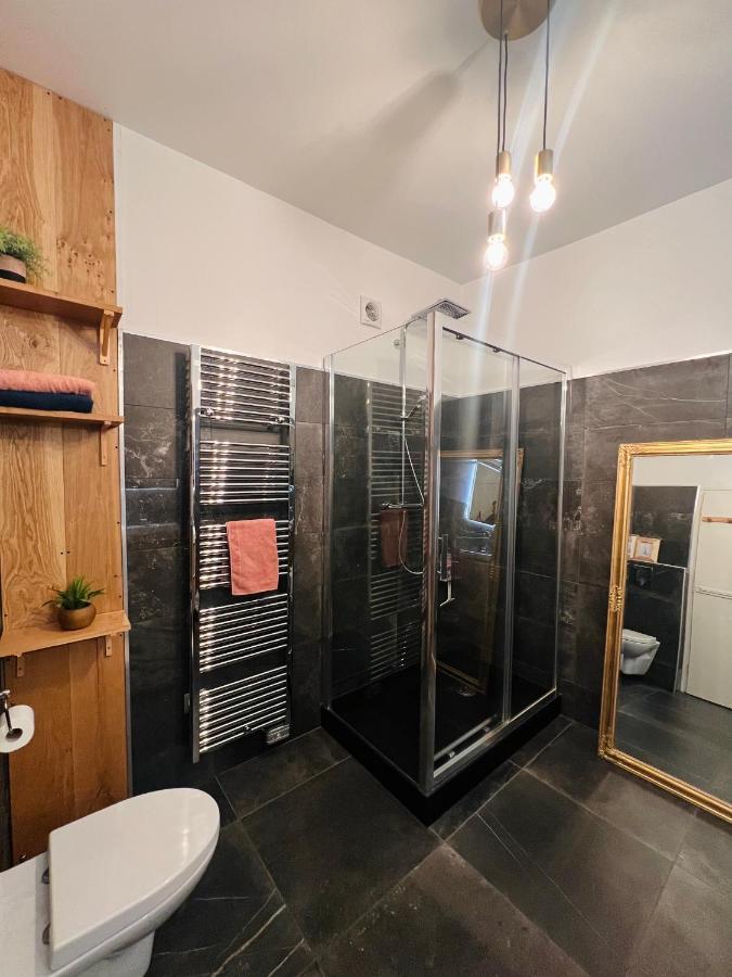 Charmant Appartement Plein Centre Ville - Parking Prive Auxerre Dış mekan fotoğraf