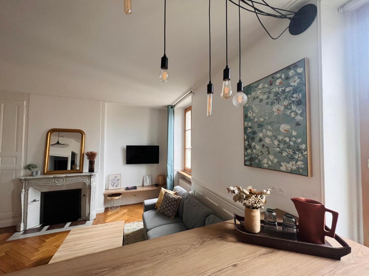 Charmant Appartement Plein Centre Ville - Parking Prive Auxerre Dış mekan fotoğraf